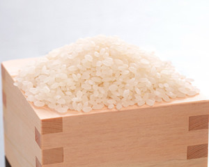 お米からの生地づくり